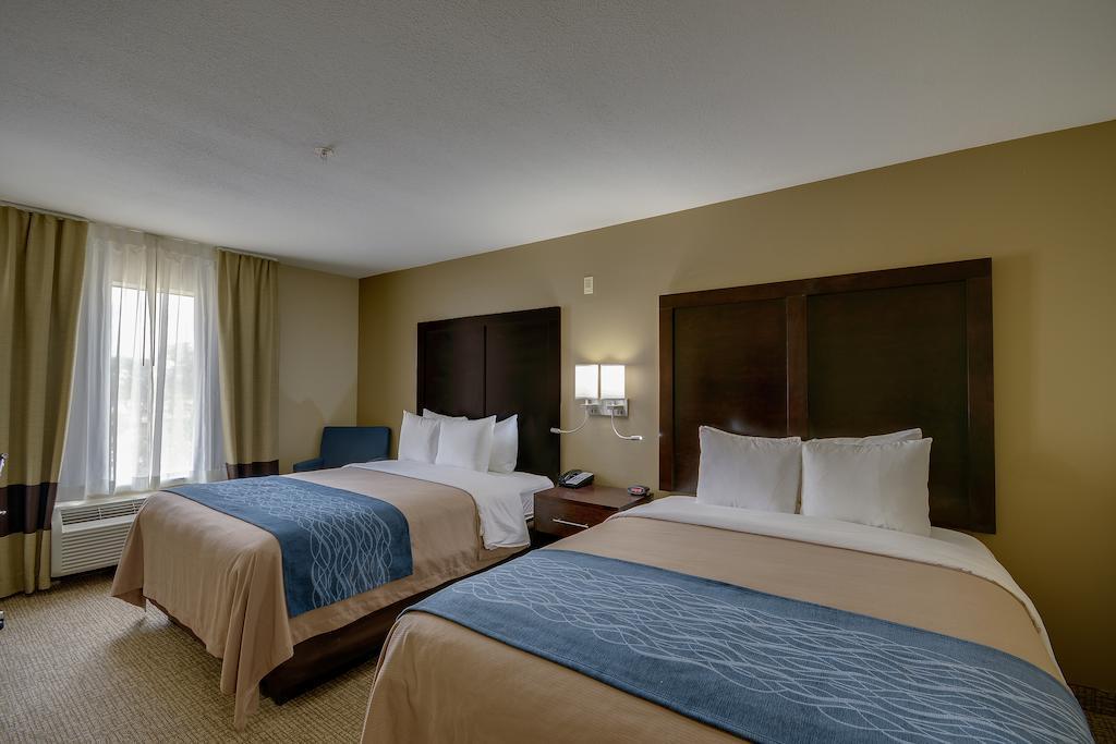 יוסטון Comfort Inn & Suites Fm1960-Champions מראה חיצוני תמונה